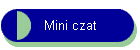 Mini czat