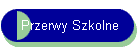 Przerwy Szkolne